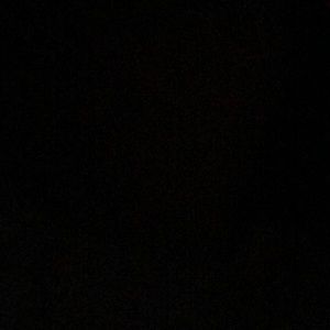 Meet your Posher, Tyra